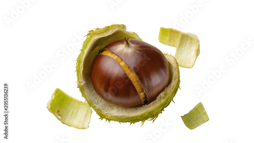 Foto Isolated single fresh chestnut opening from its green prickly husk, sweet and na