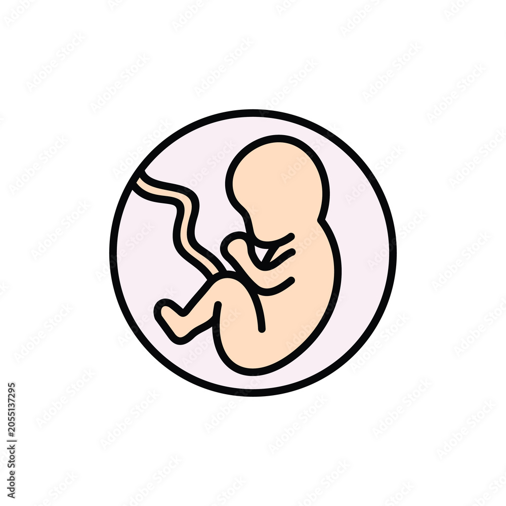 Fototapeta premium Human embryo vector icon. Fetus baby icon.