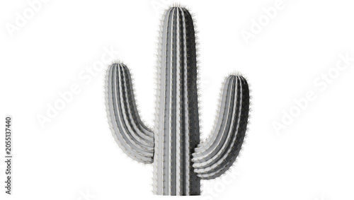 Schilderij op canvas Isolated desert cactus plant with multiple arms and sharp spines, growing in ari
