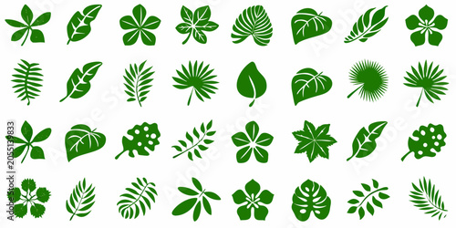 Obraz na płótnie Green Leaf Designs Collection Vector Illustration On White Background