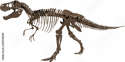 Fotografía Tyrannosaurus Rex Skeleton Vector Illustration With White Background