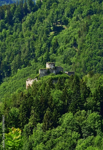 Burgruine Klamm Nähe Semmering, vertikal