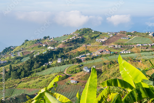 Terraced Farmland on a Lush Hillside: A panoramic view showcases vibrant green terraced fields carved into a rolling hillside, dotted with small dwellings.