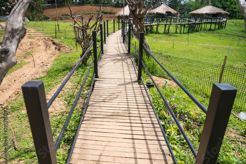 Wooden bridge leading into nature park