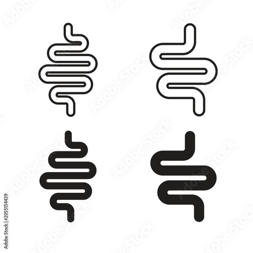 Foto Intestine icon