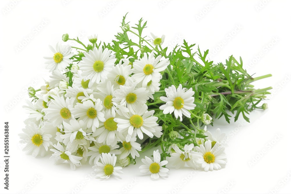 Obraz premium Fresh white daisies with green centers and leaves arranged in a bouquet on a clean white background, isolated floral composition for spring or wedding design.