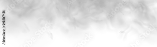 Photos Dense grey fog rises upward with soft smoky edges on a transparent background
