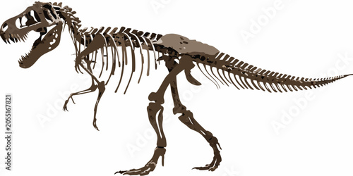 Cuadro en lienzo Tyrannosaurus Rex Skeleton Illustration Brown Tones On White Background