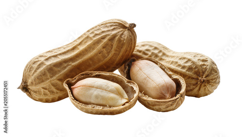 фотографія Isolated wholesome whole and opened peanuts showing textured shells and fresh ke
