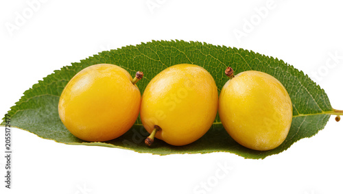 Obraz na płótnie Isolated delicious fresh yellow plums or mirabelle fruit on a vibrant green leaf