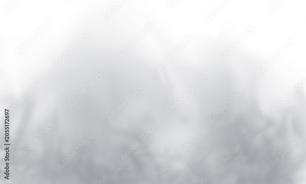 Fototapeta premium Thick smoke cloud with natural texture and realistic transparent shadow effects. Isolated fog layer for professional editing in high quality PNG.