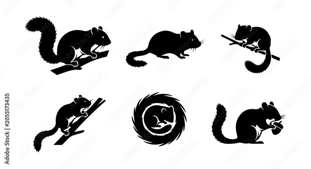 Obraz premium Squirrel icon set silhouette, white background