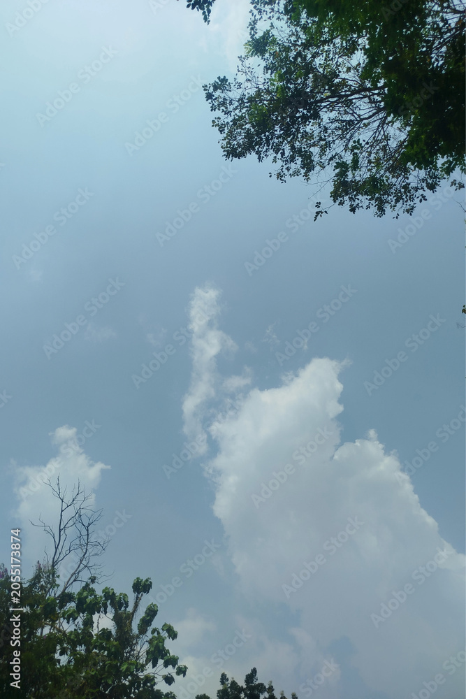 Fototapeta premium sky and clouds