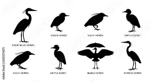 Canvas-taulu Heron icon set silhouette, white background, vector illustration