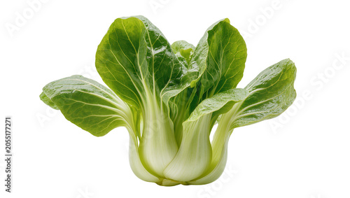 Isolated fresh green bok choy vegetable, healthy organic food ingredient ready for cooking