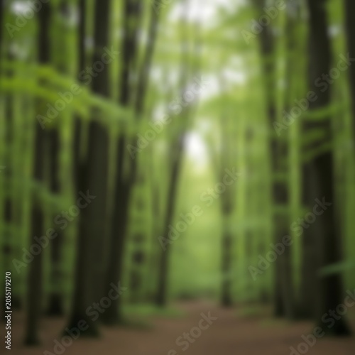 Blurry forest with green trees