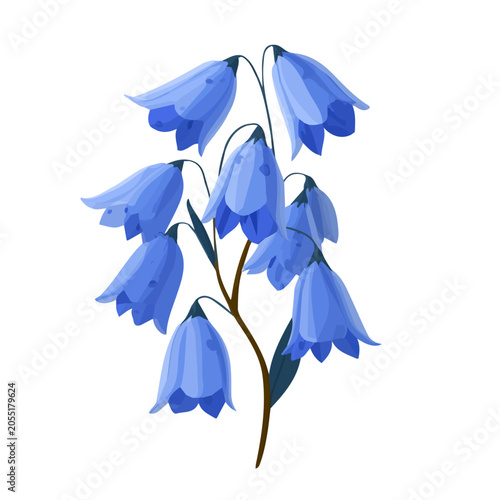 2D flat vector graphic of a Bluebell in icon style, isolated on white background