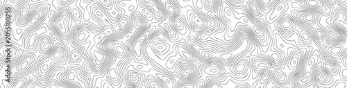 Black and white topographic contour vector pattern with wavy lines and shapes on white background for design and texture