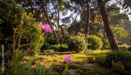 Serene garden with vibrant flowers trees.