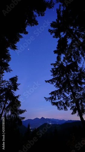 Timelapse of Starry Night Sky Framed by Forest Tree Silhouettes With Mountain Landscape
