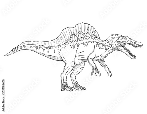 Spinosaurus dinosaur realistic detailed illustration