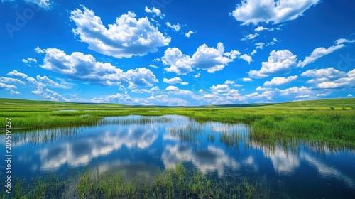 Vibrant landscape of a marsh reflecting fluffy clouds in summer
