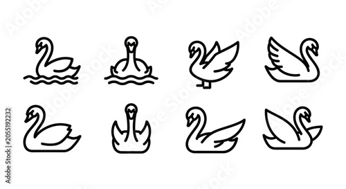 Valokuva Set of Linear Swan Icons Representing Graceful Aquatic Birds in Various Poses