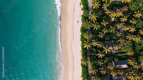 Travel - Aerial Drone View of Tropical Beach with Turquoise Ocean Waves Sandy Shore and Palm Tree Resort Coastline