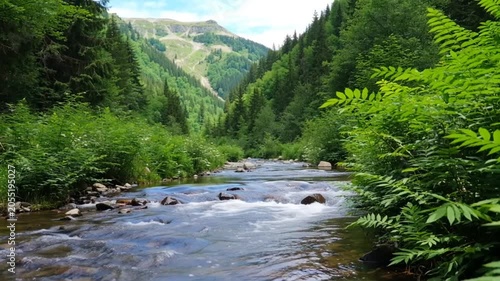 Nature - Scenic Mountain River Flowing Through Lush Green Forest Valley With Rocky Streambed and Alpine Peaks in Summer