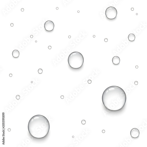Clear Water Droplets Scattered on a White Background Realistic Transparent Bubbles with Subtle Shadows and Highlights