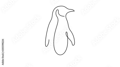 Penguin continuous line drawing animation revealing a minimalist polar animal silhouette. Minimal line art animation of a standing penguin silhouette on a clean white background.