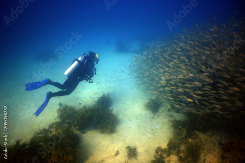 Scuba diver swimming alongside a massive school of reef fish in tropical waters