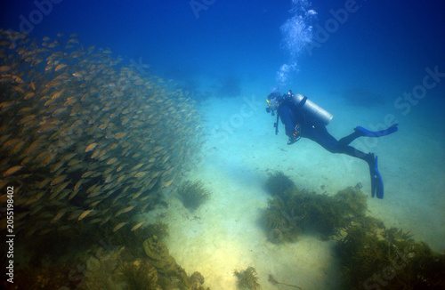 Scuba diver swimming alongside a massive school of reef fish in tropical waters