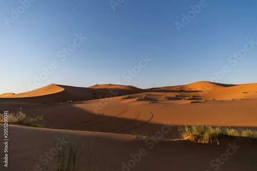 Bilde på lerret Beautiful sand dunes of Erg Chebbi in Sahara desert at sunset, Morocco
