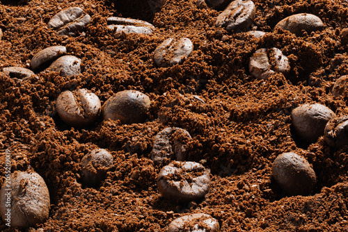 Canvas Print High-Resolution close-up of roasted coffee bean macro texture with ground partic