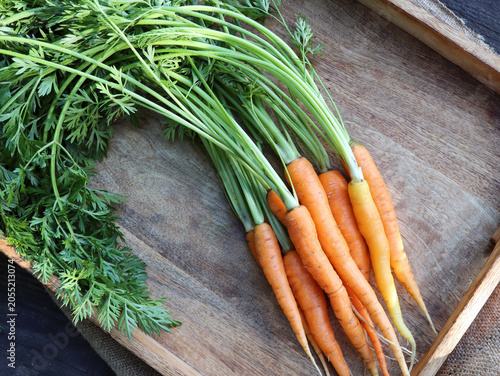 Freshly picked carrots with green tops on a wooden board
