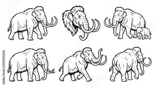 Fotografie Mammoth Collection: Ancient Elephants in Outline Style