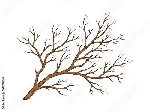 Bild auf Leinwand Bare tree branches against a white background.