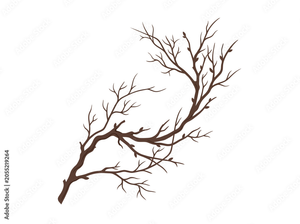 Fototapeta premium Bare tree branches against a white background.