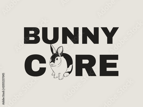 Bunny Core Cute Rabbit Aesthetic T Shirt for Bunny Lovers