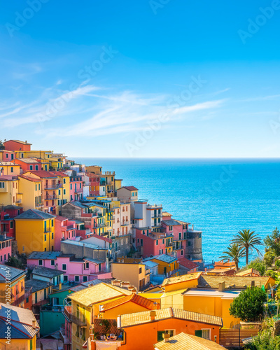 Manarola Village Colorful Houses and Sea, Cinque Terre, Liguria