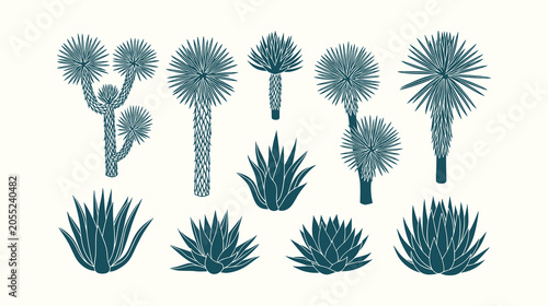 Photos Collection of Desert Flora Silhouettes Including Joshua Tree Agave and Yucca Pla