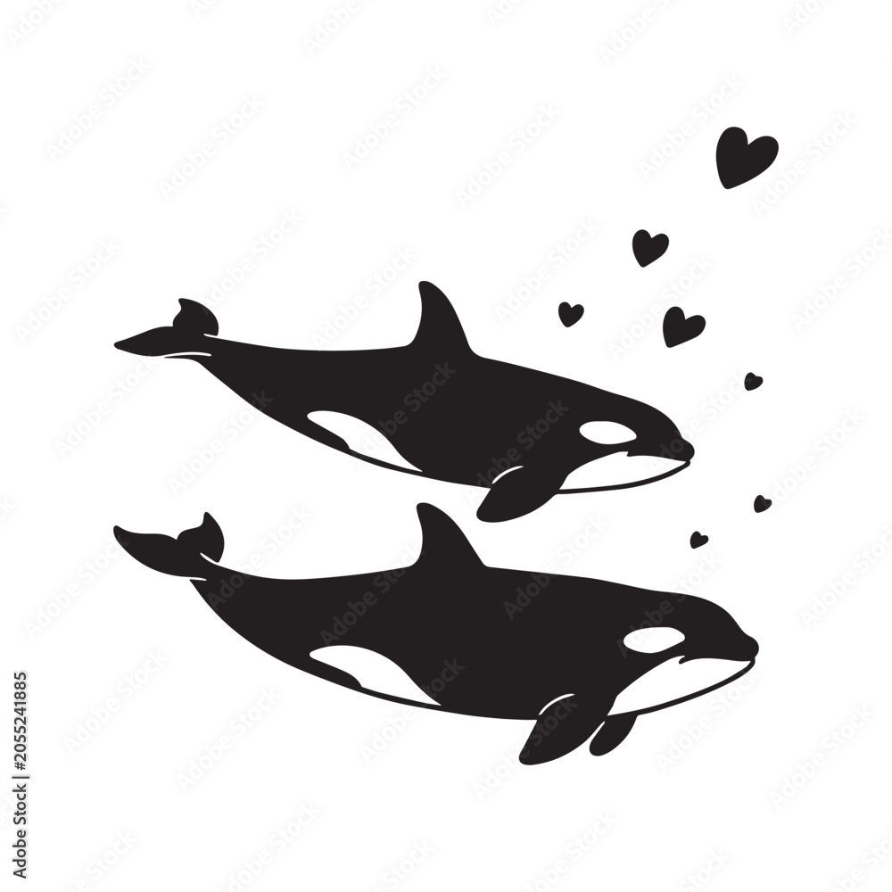 Fototapeta premium Two Swimming Orca Killer Whales Surrounded by Love Hearts Vector Design.