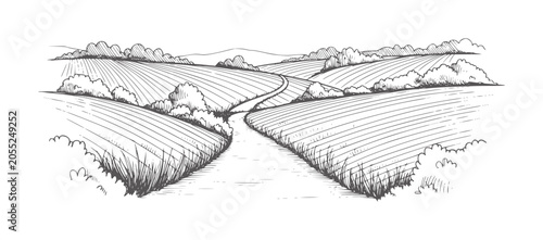 Winding dirt road through cultivated fields and rolling hills path country rural