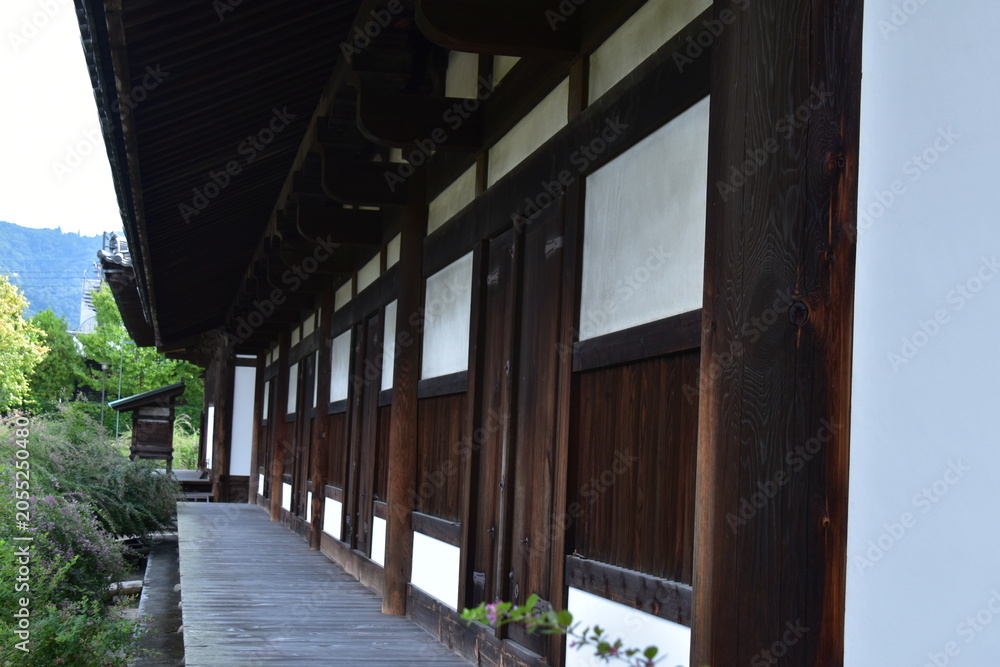 Fototapeta premium 奈良県 奈良市の元興寺