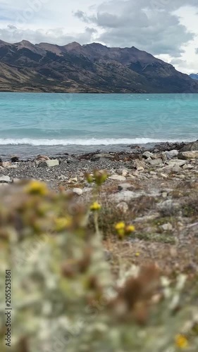Vertical pan across a windy Patagonian lake with waves and blurred foreground shrubs. Camera sweeps to reveal sharp mountains and turquoise water, emphasizing depth and motion.