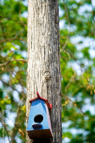 Brightly Colored Wooden Birdhouse Attached to Tree Trunk in a Forest Setting