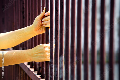 Close-up of hands gripping metal bars on prison or confinement fence with outdoor background