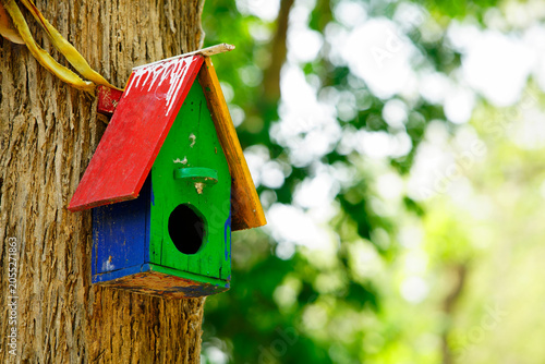 Colorful Wooden Birdhouse Attached to Tree Bark in Green Forest Setting