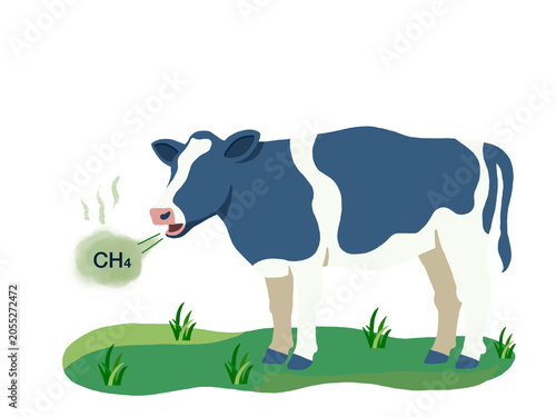 Photography Cow Burping Methane Gas CH4